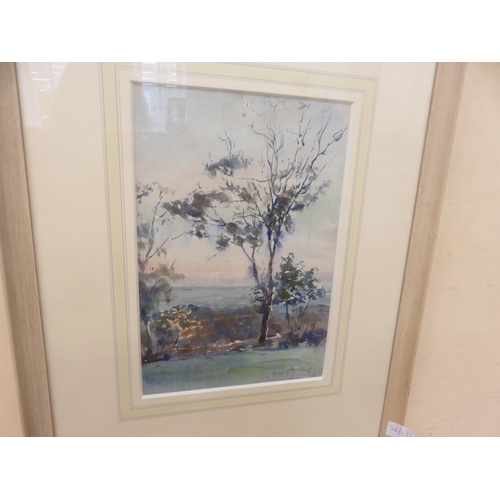 12 - Framed Watercolour 