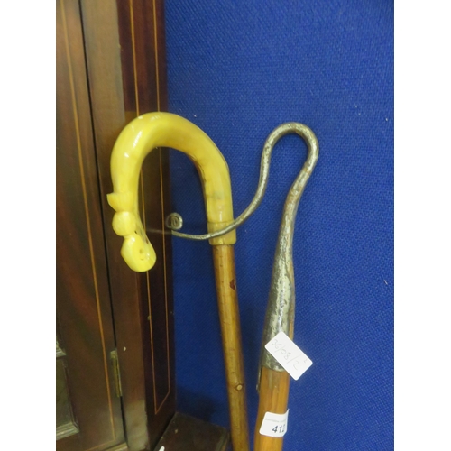 412 - Window Hook and Bone Handled Shepherds Crook