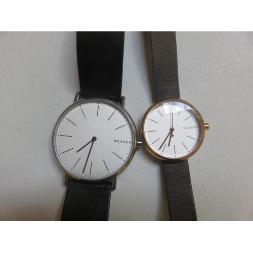 123 - His and Hers Skagen Watches