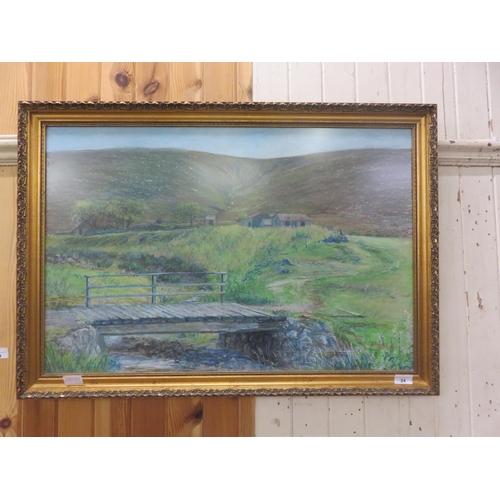 24 - Framed Pastel Drawing 