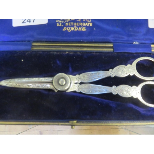 247 - Pair of Cased Late Victorian/ Edwardian Grape Scissors