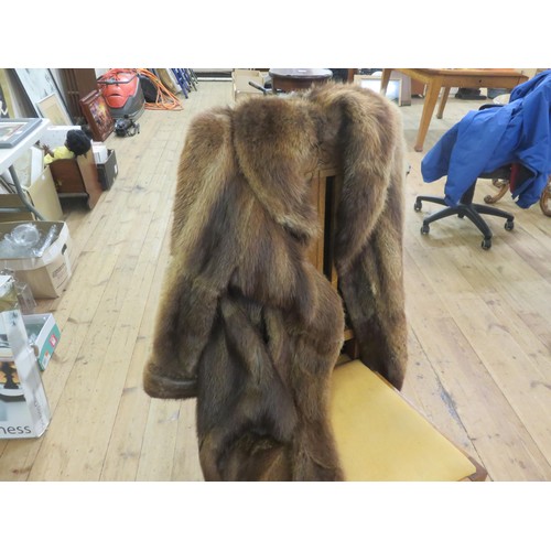 422A - Musquash Fur Coat