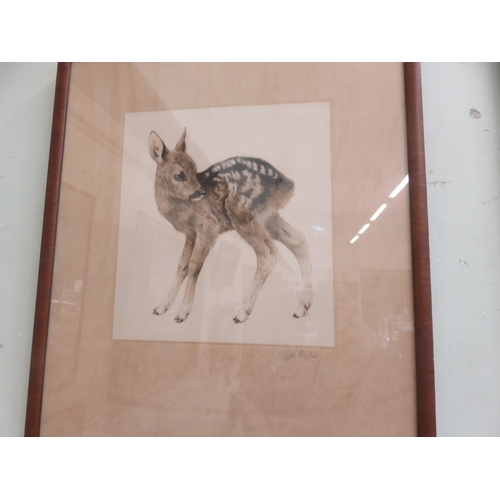 76 - Framed Etching of 