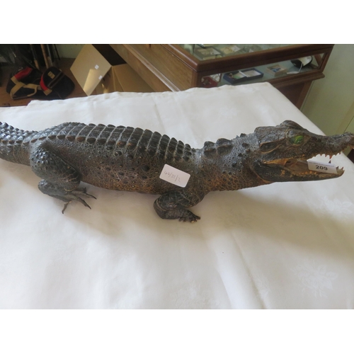 209 - Taxidermy Crocodile (as found)