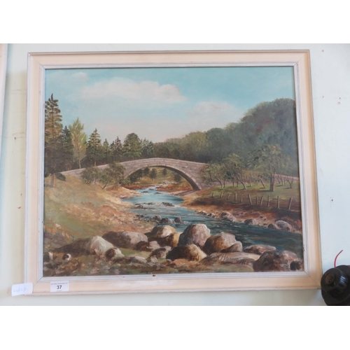 37 - Framed Oil Painting 