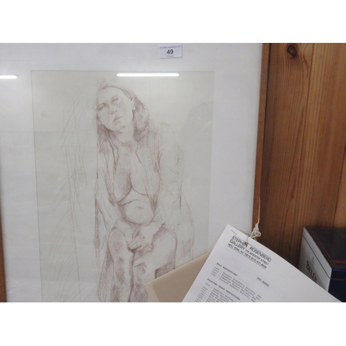 49 - Framed Pencil Drawing 