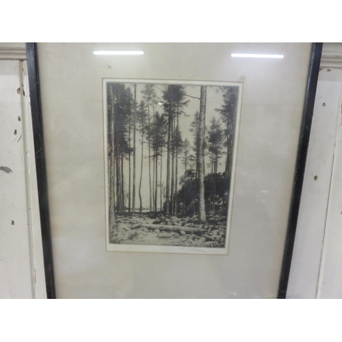 26 - Etched Woodland Scene, signed