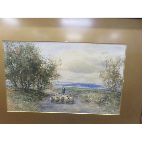 52 - Framed Watercolour, 