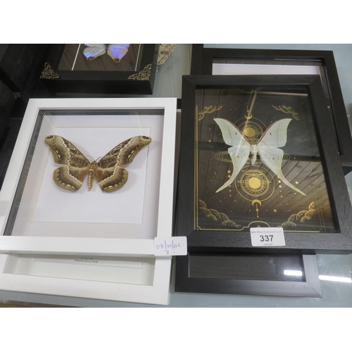 337 - Seven Framed Butterflies and Moths