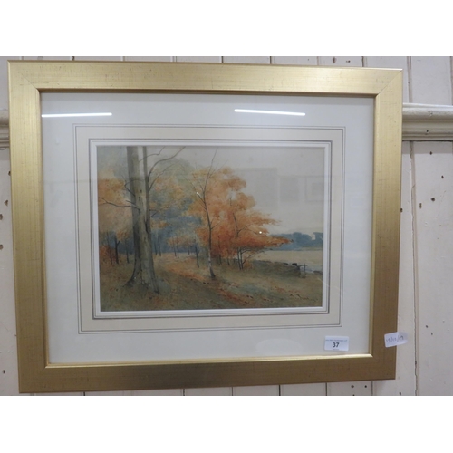 37 - Framed Watercolour - A Woodland Scene - Thomas Bunting