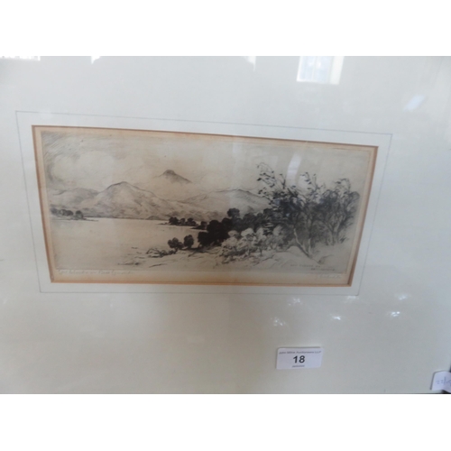 Lot 18        