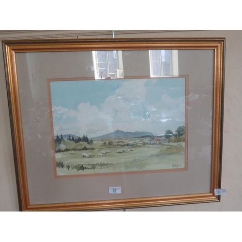 Lot 23        