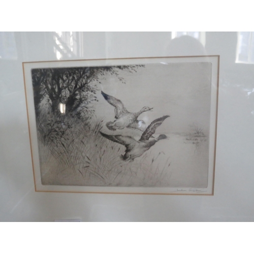Lot 25        