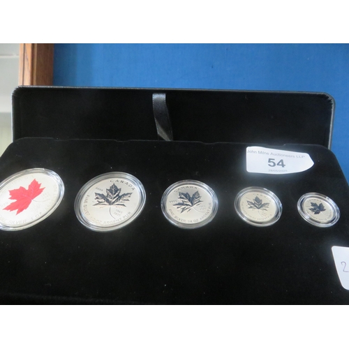 Lot 54        