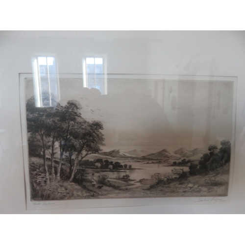 Lot 7         