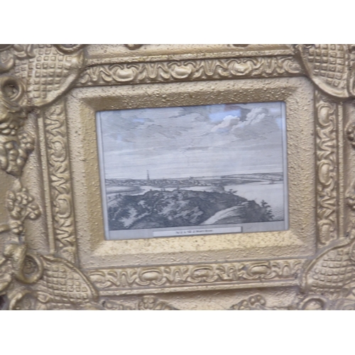 Lot 24        