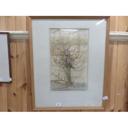 Lot 28        