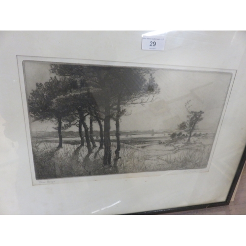 Lot 29        