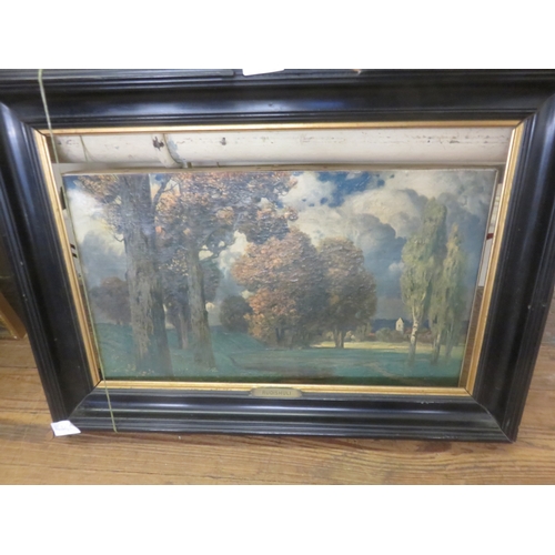 Lot 7         