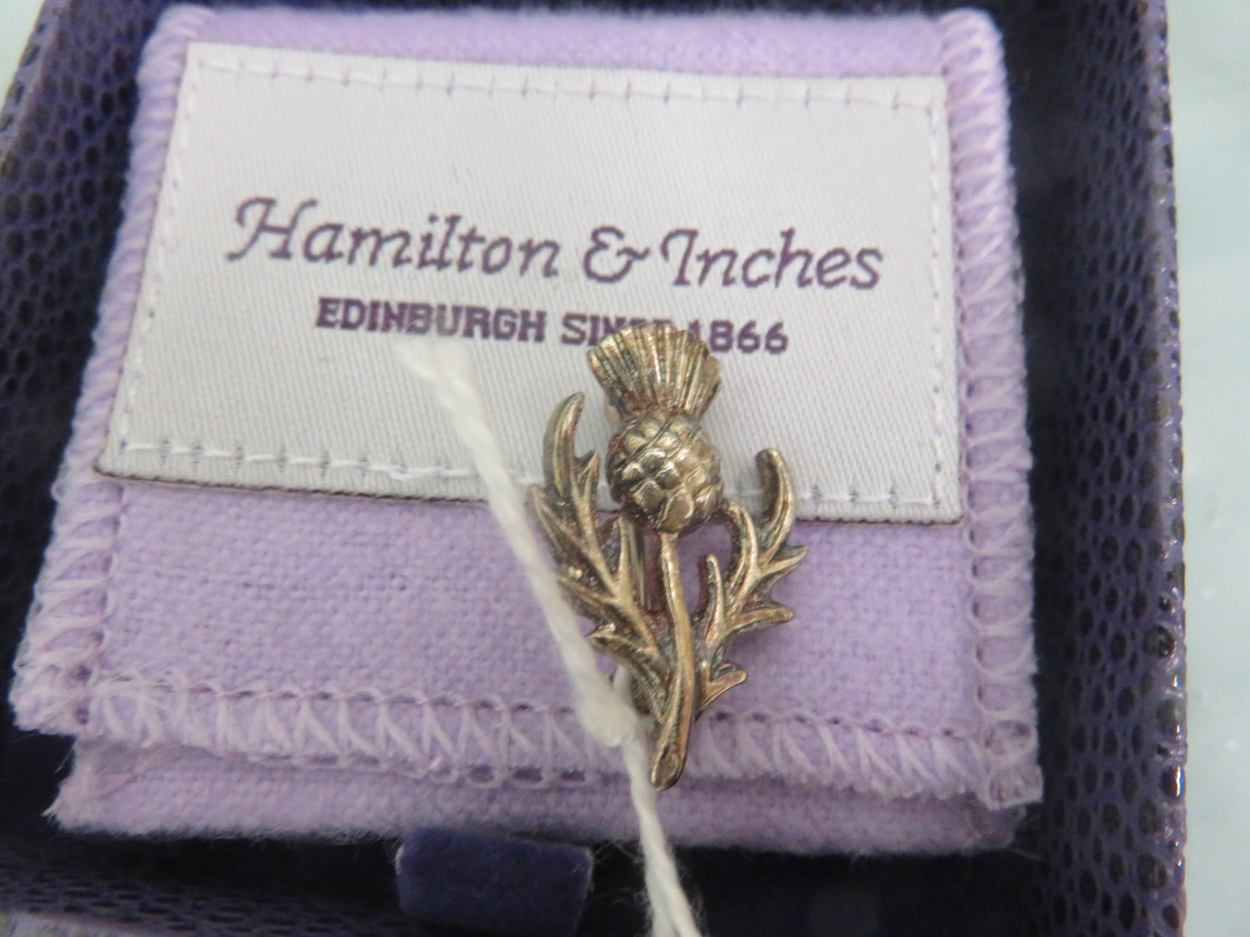 Small Edinburgh Silver Thistle Brooch in original box by Hamilton & Inches