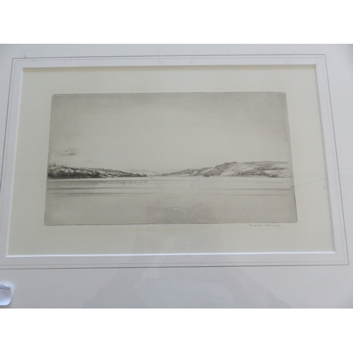 Lot 23        