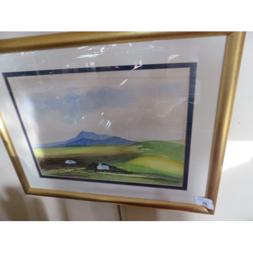 Lot 29        