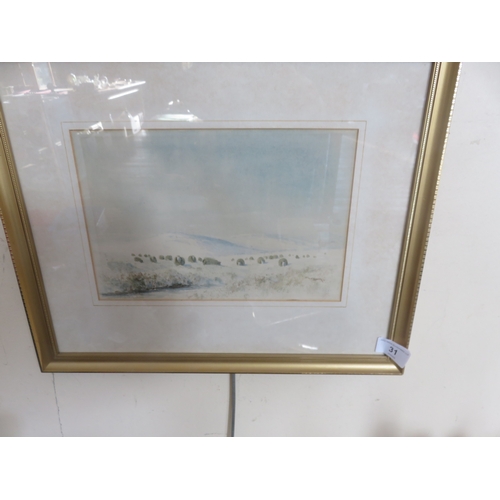 Lot 31        
