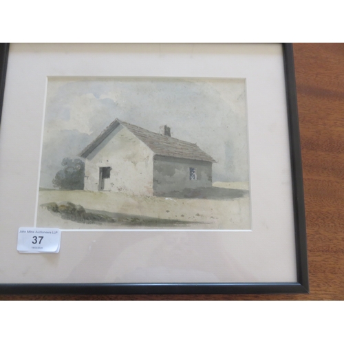 Lot 37        