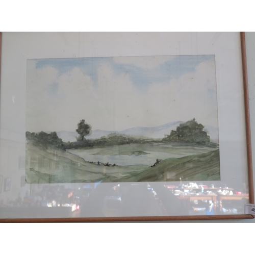 Lot 49        