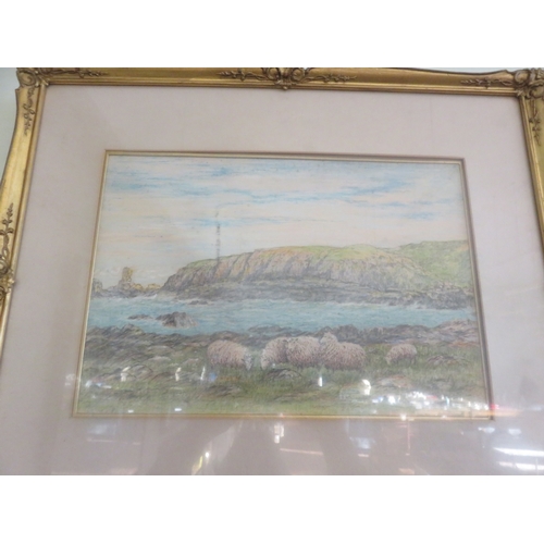 Lot 53        