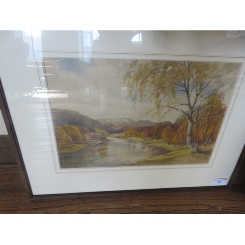 Lot 15        