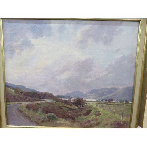 27 - Framed Oil Painting - A Highland Landscape - Donald Shearer 50 by 60cm