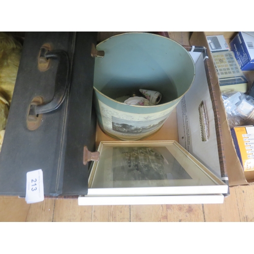Lot 213       