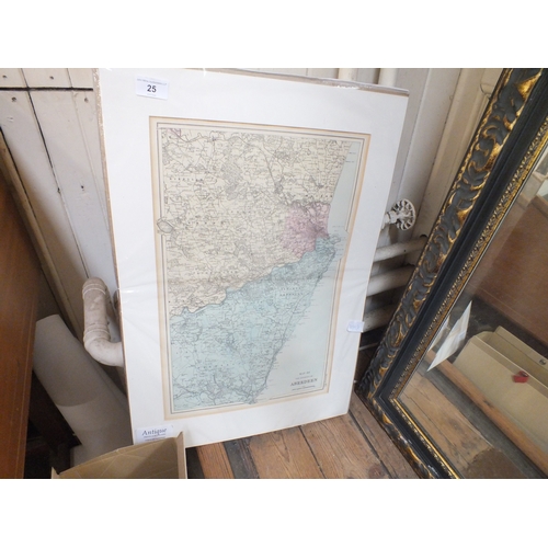Lot 25        