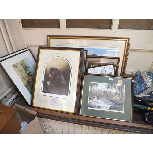 Lot 15        