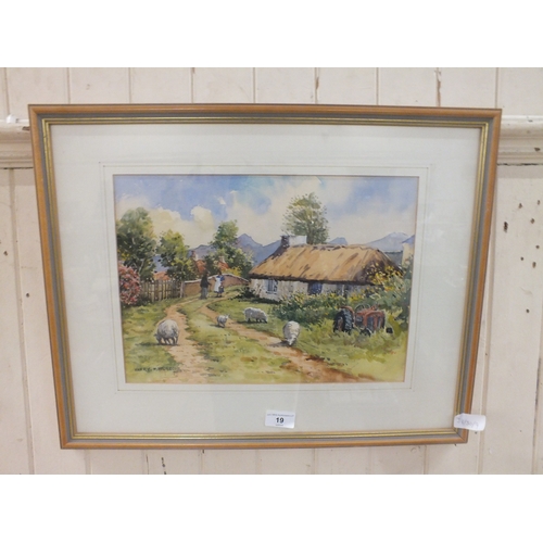 Lot 19        