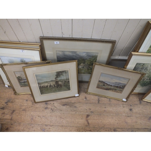 Lot 29        