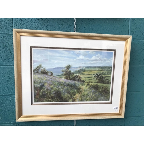 503 - Framed and glazed countryside print signed David Dipnall (26