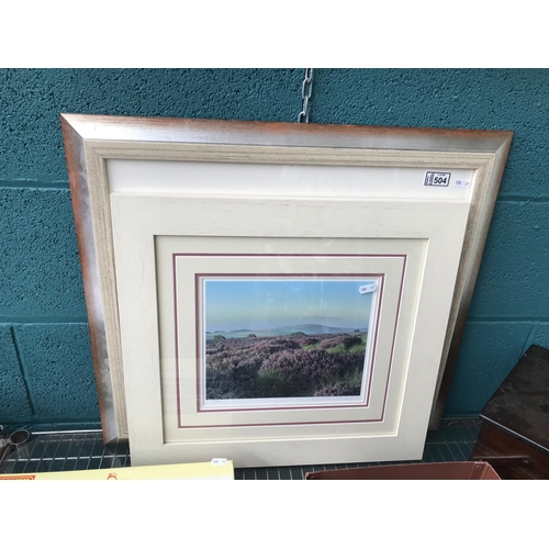 504 - 2 Framed and glazed Steven Townsend signed limited edition prints