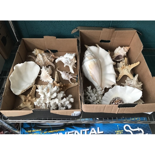 508 - 2 Boxes containing seashells