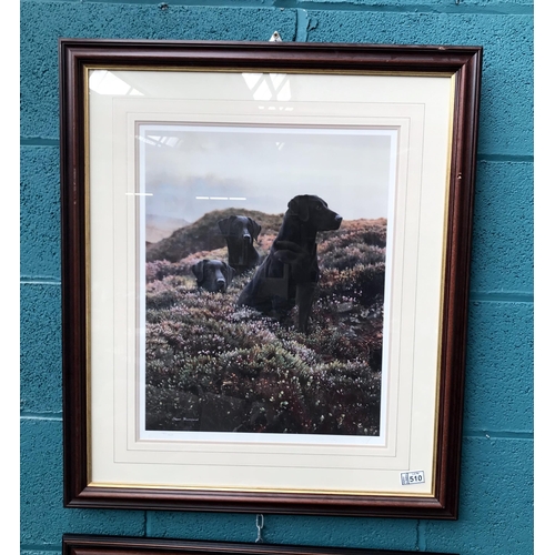 510 - Framed and glazed Steven Townsend signed limited edition print of Labradors (25