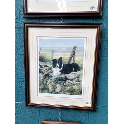 511 - Framed and glazed Steven Townsend signed limited edition print of a Collie (25