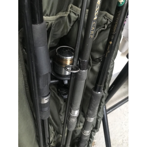 285 - 3 Carp rods including bag