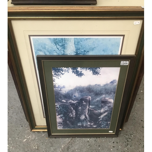 209 - 2 Framed and glazed Townsend prints