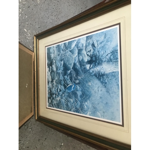 209 - 2 Framed and glazed Townsend prints