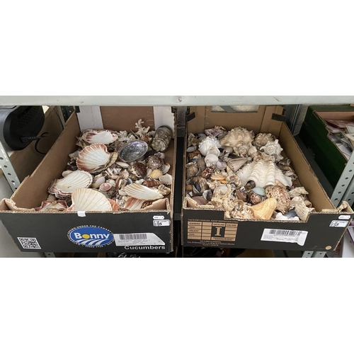 5 - 2 Boxes containing seashells