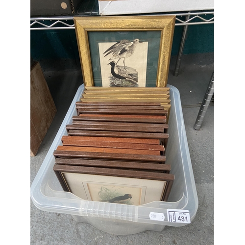 481 - Box containing bird related prints