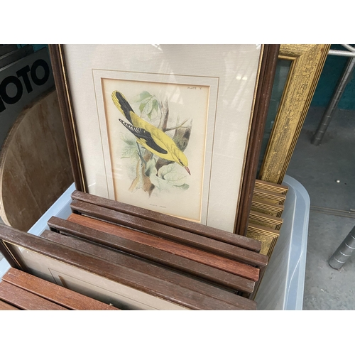 481 - Box containing bird related prints