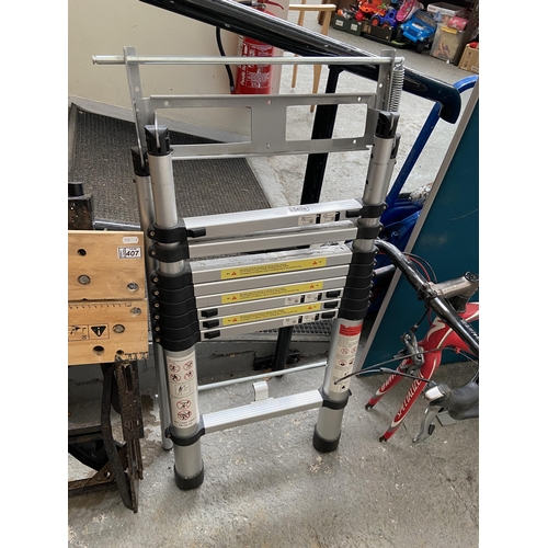 408 - Telescopic ladder