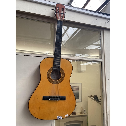 487 - Acoustic guitar